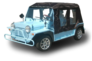 golf cart repair service, delray cart repair pickup, golf cart inspection