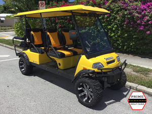 delray golf cart repair, golf cart service, mobile repair